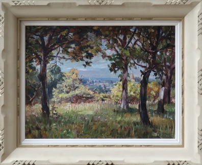 lot picture